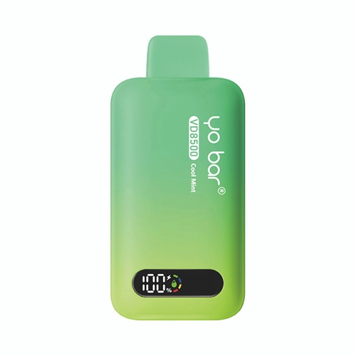 https://www.vapespipe.com/vape/cdn/shop/files/cool-mint-yo-bar-vd5000-vape.png