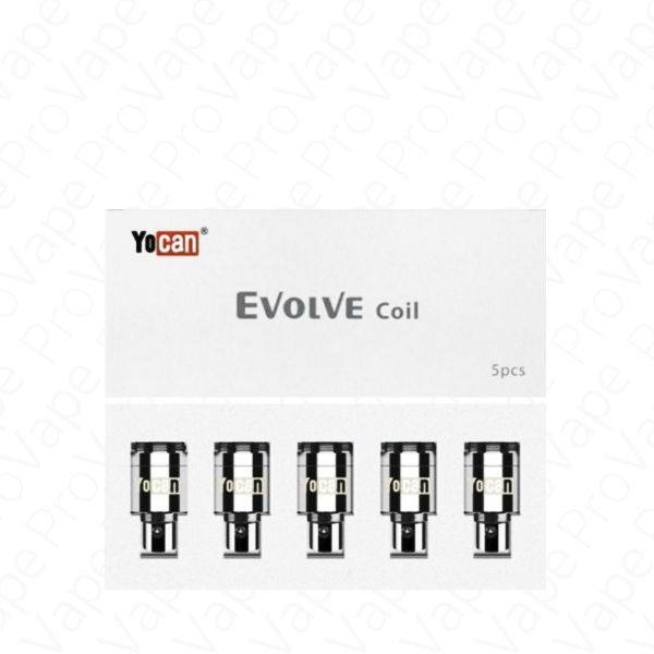 https://www.vapespipe.com/vape/media/catalog/product/cache/896a704700b43f8a3d5d98936b485a9e/y/o/yocan-evolve-coil.jpg